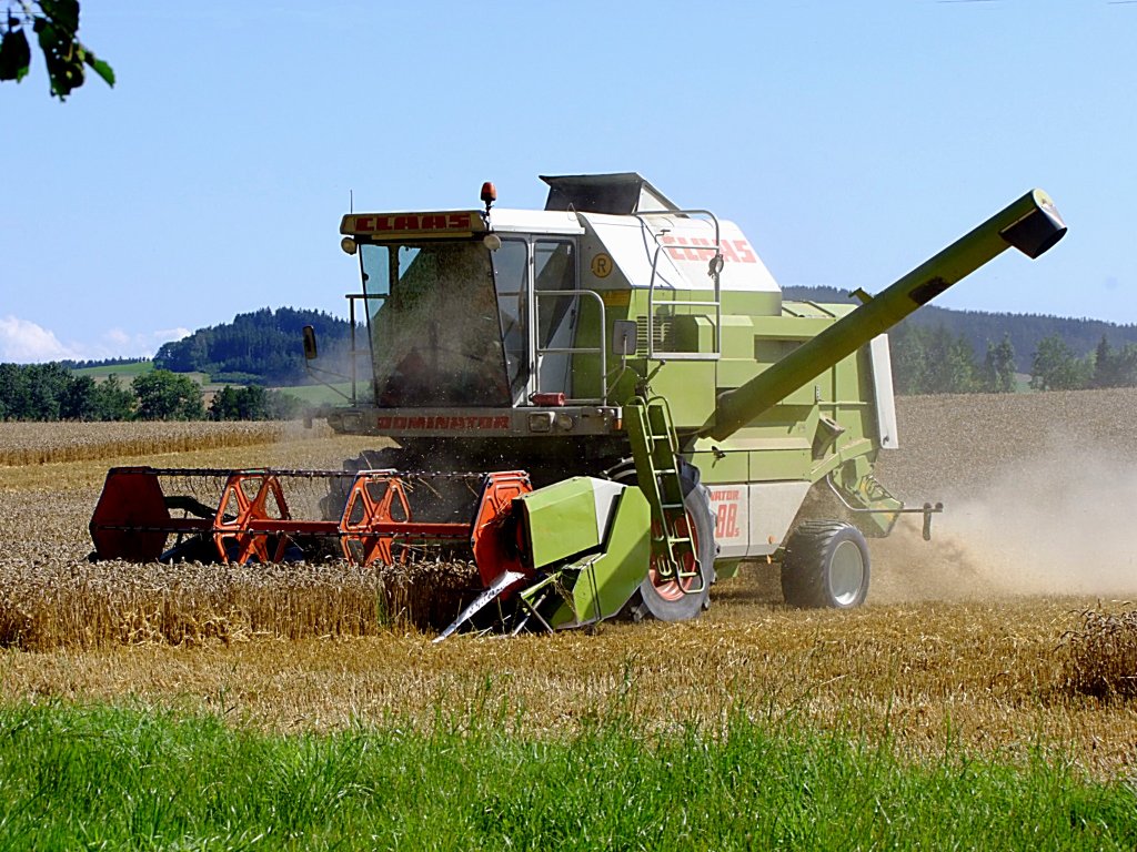 CLAAS Dominator-88s bei der Weizenernte;110805