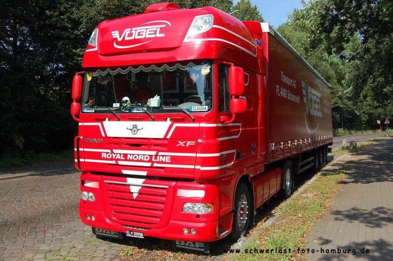 DAF XF 105. Voegel