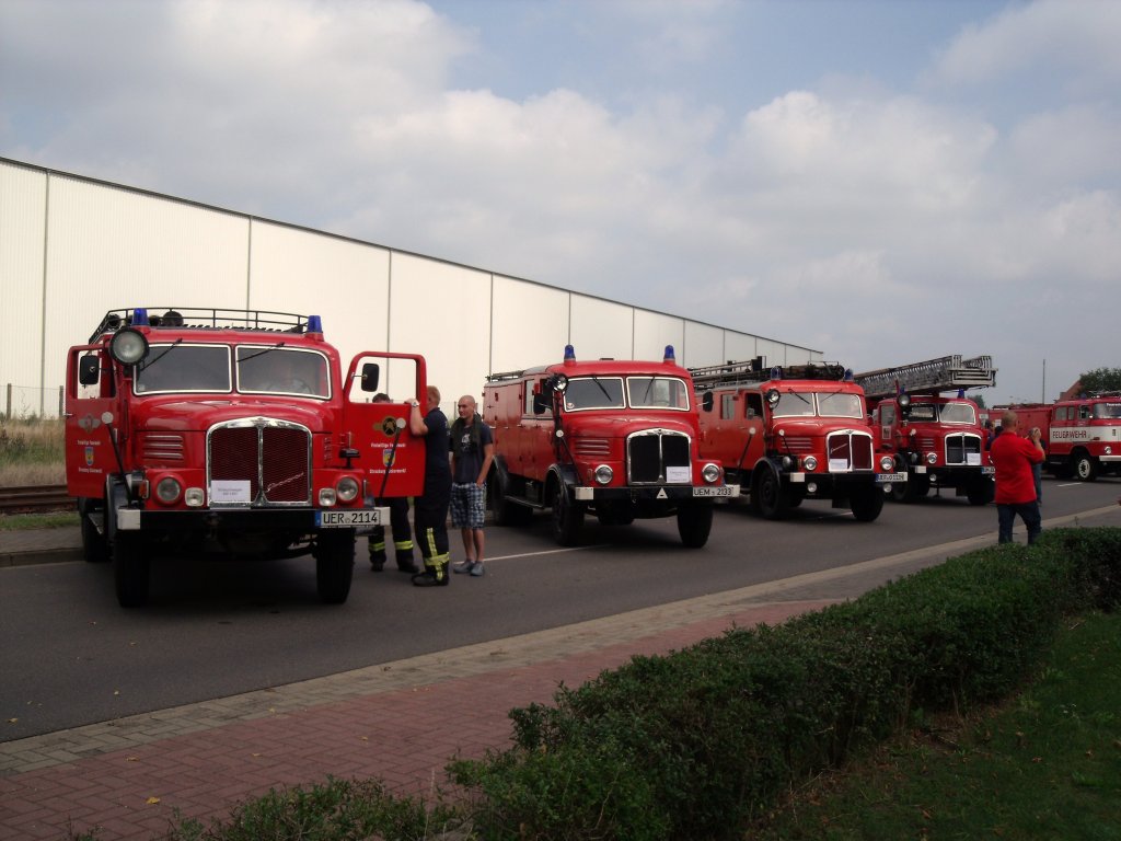  IFA S4000 Lschzug in Torgelow zum Florianfest am 25.08. 2012 zu sehen.Reihenfolge v.l.n.r.SW-TLF-LF-DL.