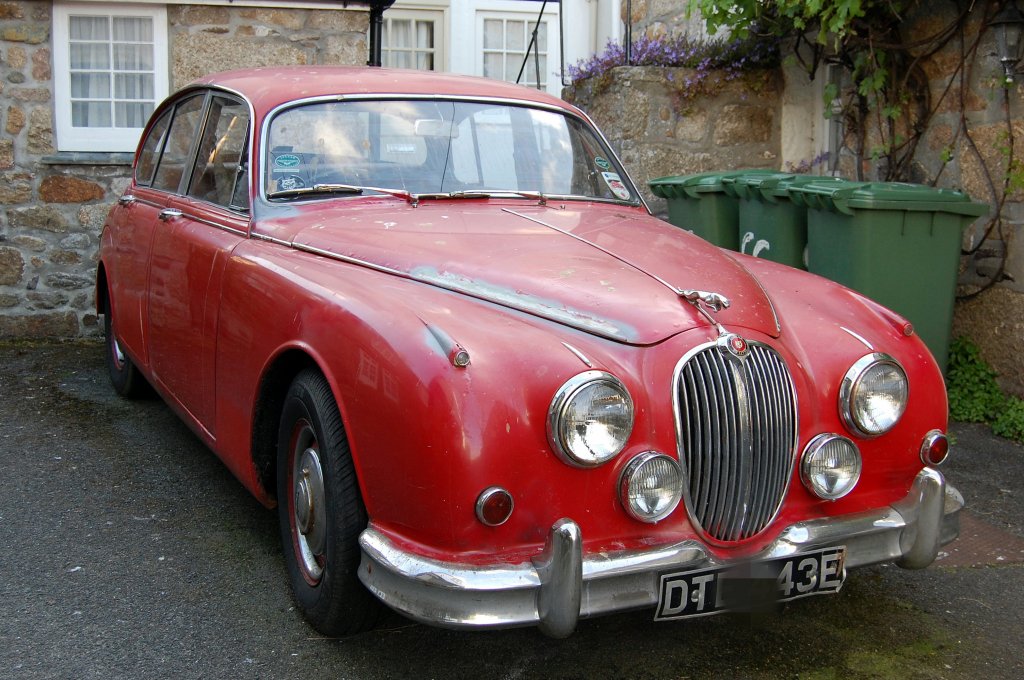 Jaguar aufgenommen in Sdengland. (03.06.2008)