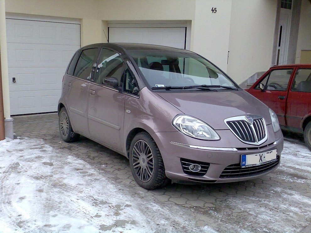 Lancia Musa. Aufgenommen: 27.01.2010
