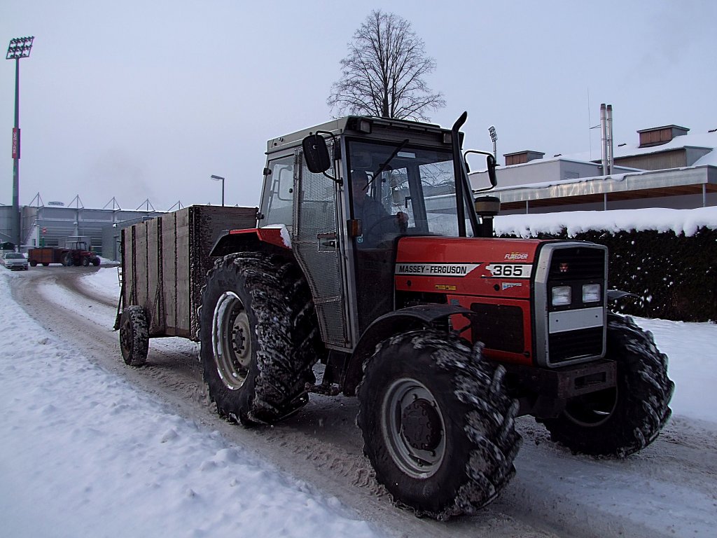 MF-365 mit kleinem Viehanhnger;101218