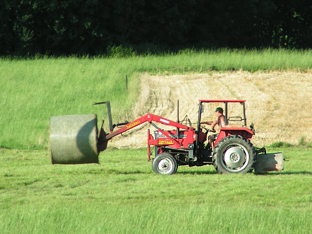 MF240 ist mit der Heuballenernte beschftigt;090816