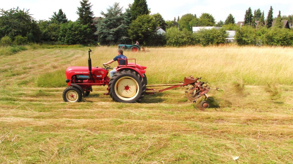  Porscche Standard Star P238 und Fahr Kreiselheuer KH4 am 22.Juli.2012 am Elfrather See beim Heuwenden.Eine Leichte bung mit 26 PS und schnem Wetter.