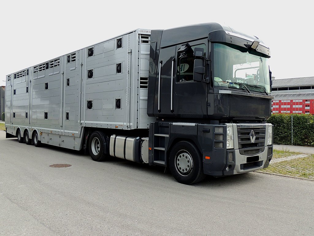 RENAULT mit Groviehtransportauflieger; 120811