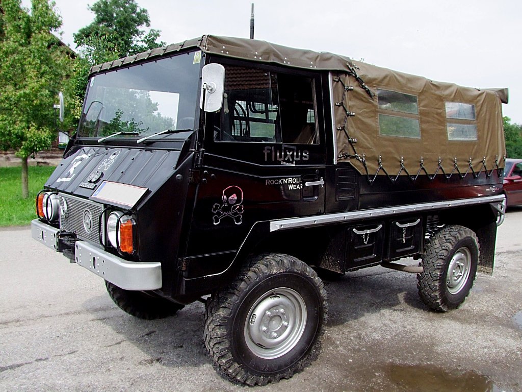 STEYR-PUCH-PINZGAUER ist nun im Privatbesitz;100808