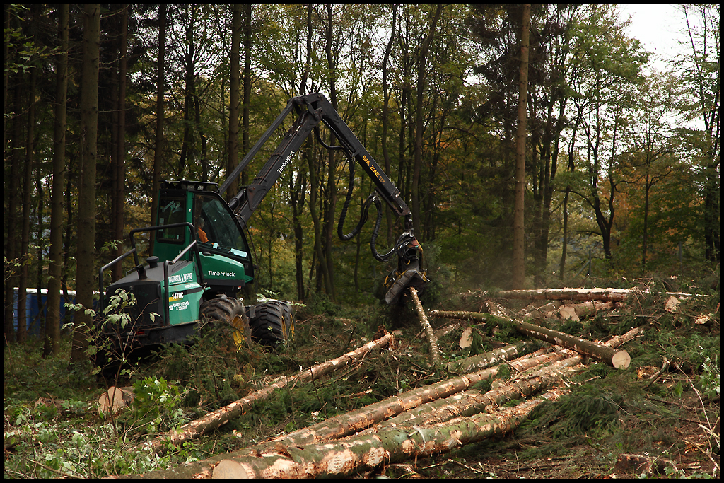 TIMBERJACK bei der Arbeit...