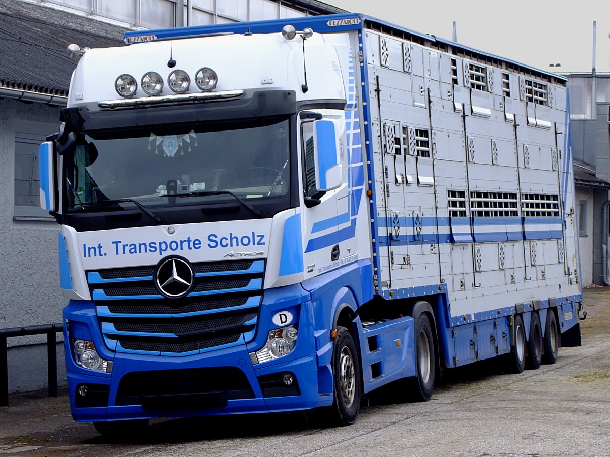 ACTROS-1848, mit Großviehtransportauflieger; 130403