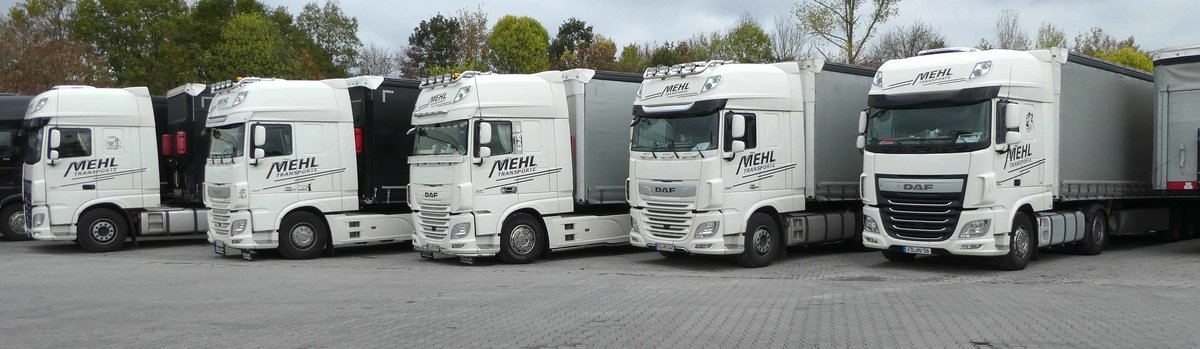 =DAF`s der Spedition MEHL, 10-2018