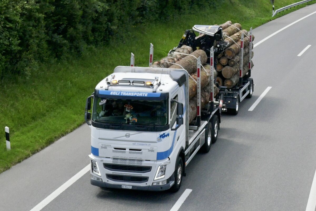 Ein FH Holztransporter von Egli Transporte am 28.6.24 auf dem Weg zum Trucker Festibal auf der A8 in Matten b. Interlaken.