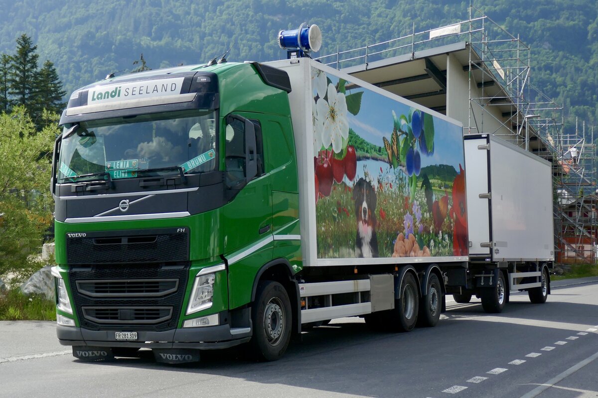 Ein Volvo FH Hängerzug von Landi Seeland der am 28.6.24 zum Trucker Festival fährt in Bönigen.