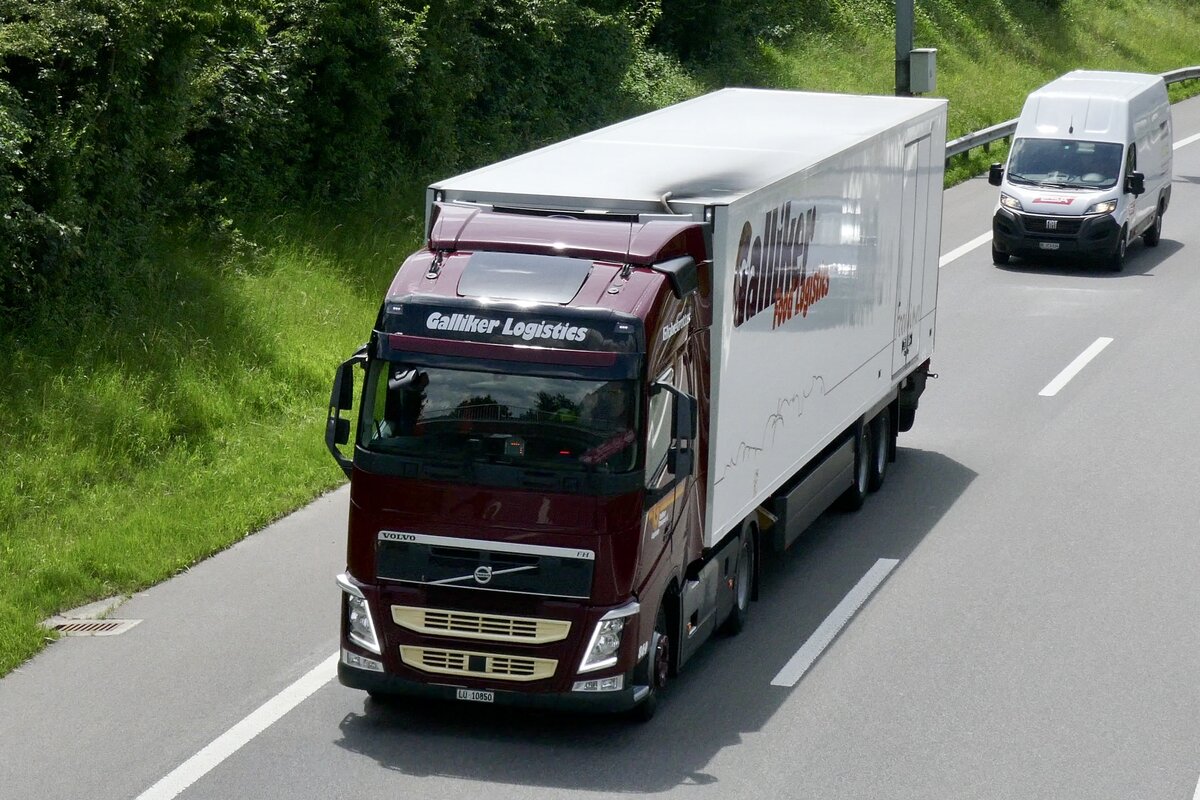 Ein Volvo Sattelzug von Galliker der am 28.6.24 unterwegs zum Trucker Festival ist auf der A8 in Matten b. Interlaken.