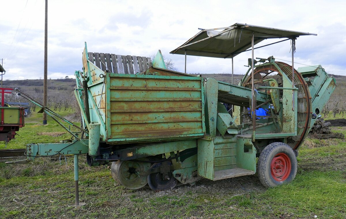 Kartoffelvollerntemaschine älterer Bauart, Jan.2025