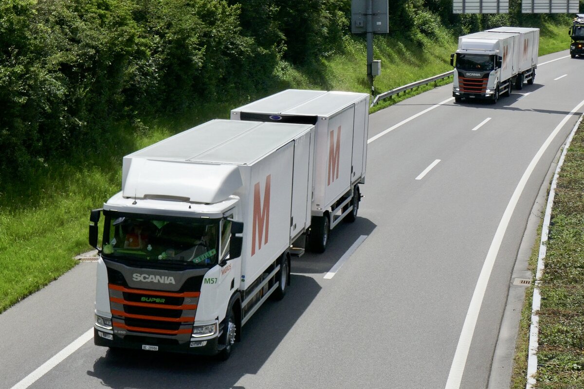 Scania Hängerzüge der Migros die am 28.6.24 auf dem Weg ans Trucker Festival sind am 28.6.24 auf der A8 in Matten b. Interlaken.