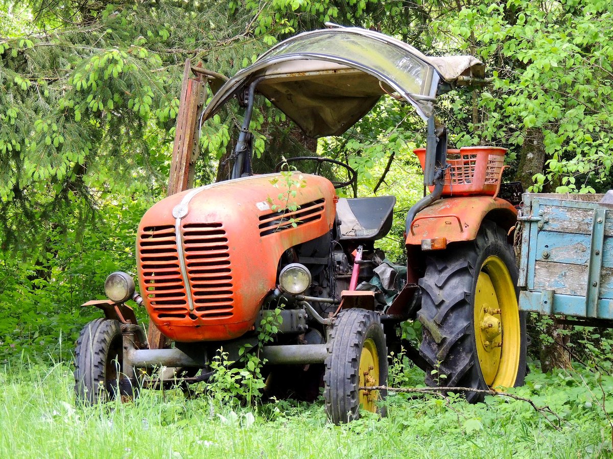 STEYR-188, der Botanik überlassen; 200501