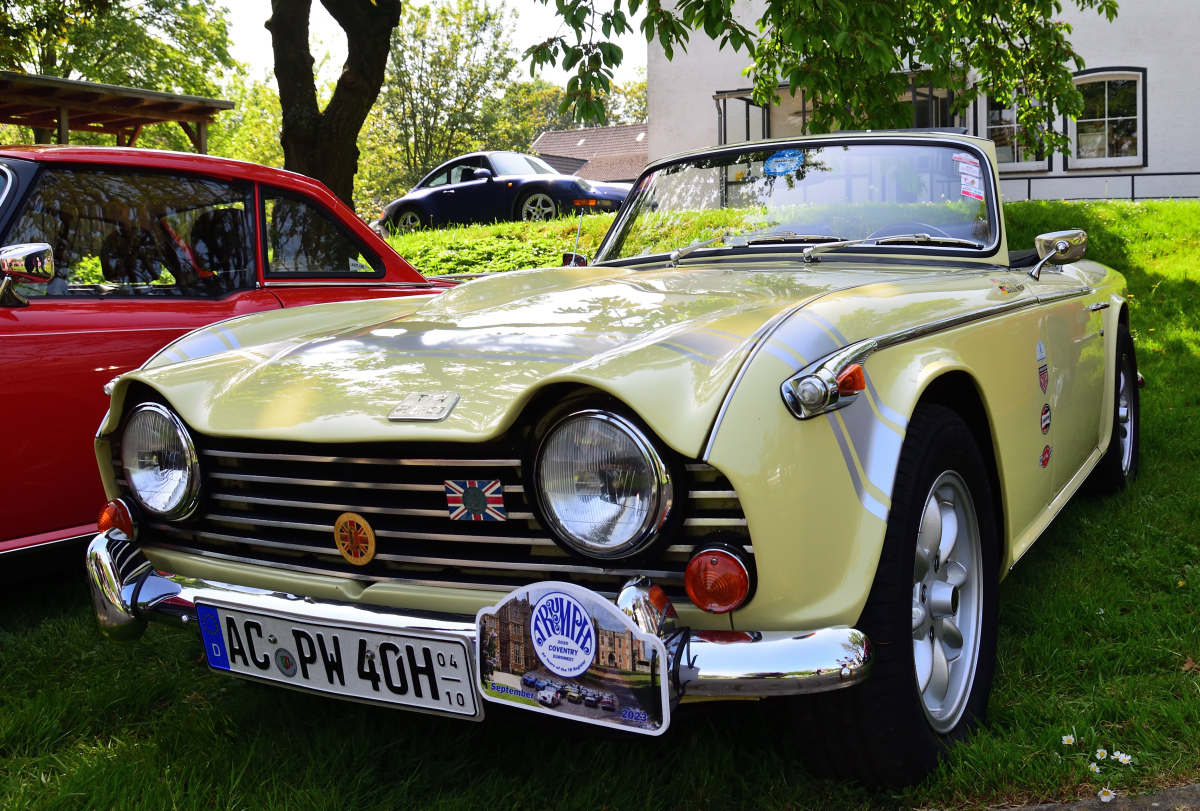 Triumph TR250 erschien im Juli 1967 als Nachfolger des von 1961 bis 1967 hergestellten Triumph TR4, es ist die für den US-amerikanischen Markt bestimmte Version des Triumph TR5,  beim Frühlingserwachen Oldtimer-IG Grenzland auf dem Gelände des Sportpark Loherhof Geilenkirchen 1.5.24