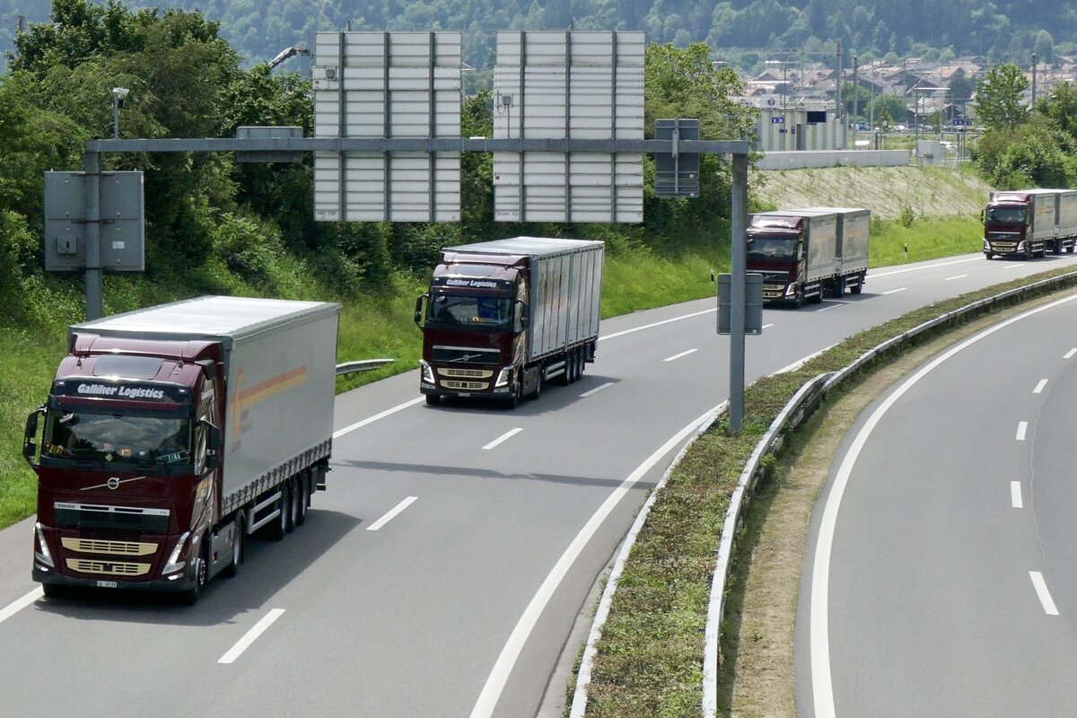 Volvo Sattelzug und weitere LKW von Galliker die unterwegs zum Trucker Festival sind am 28.6.24 auf der A8 in Matten b. Interlaken.