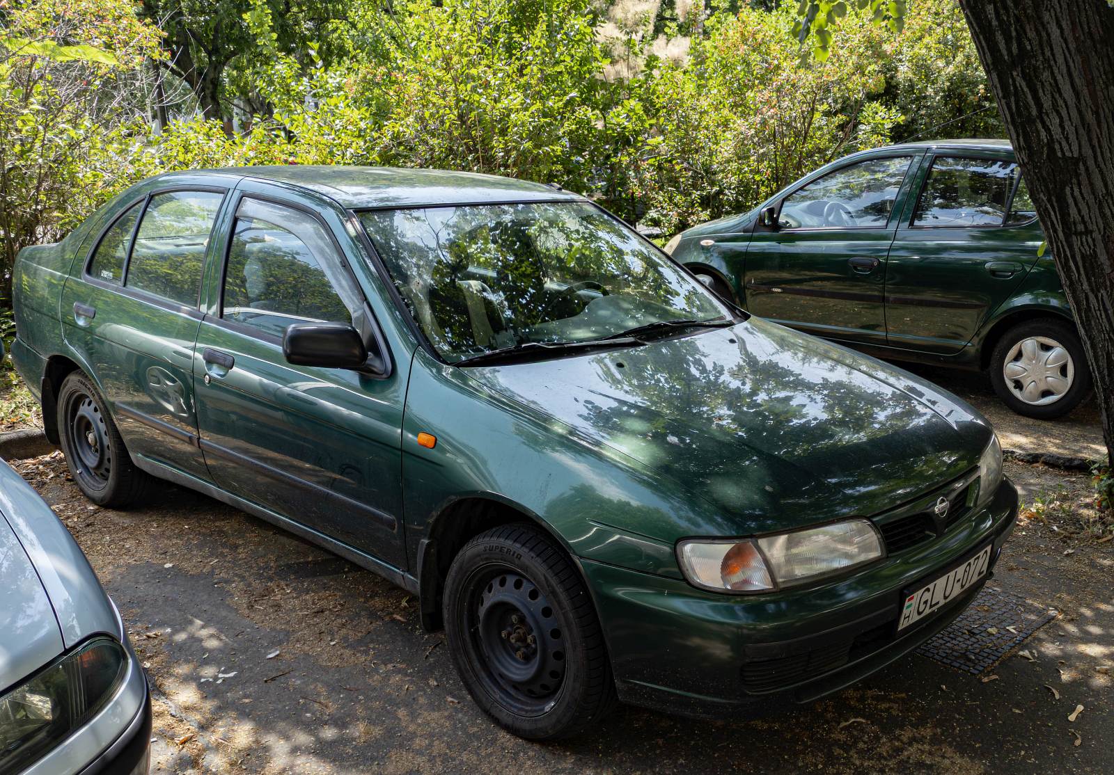 Nissan Almera Mk1 Sedan in dunkelgrün. Foto: Juli, 2024.