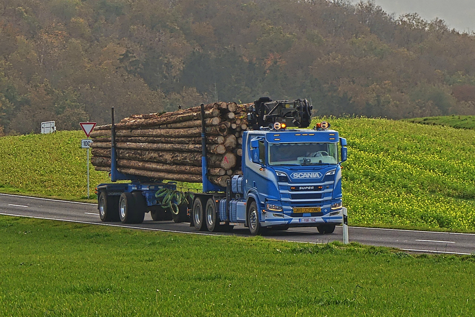 Scania Holztransporter, gesehen bei einem Spaziergang, nahe Alscheid (L). 10.2024 