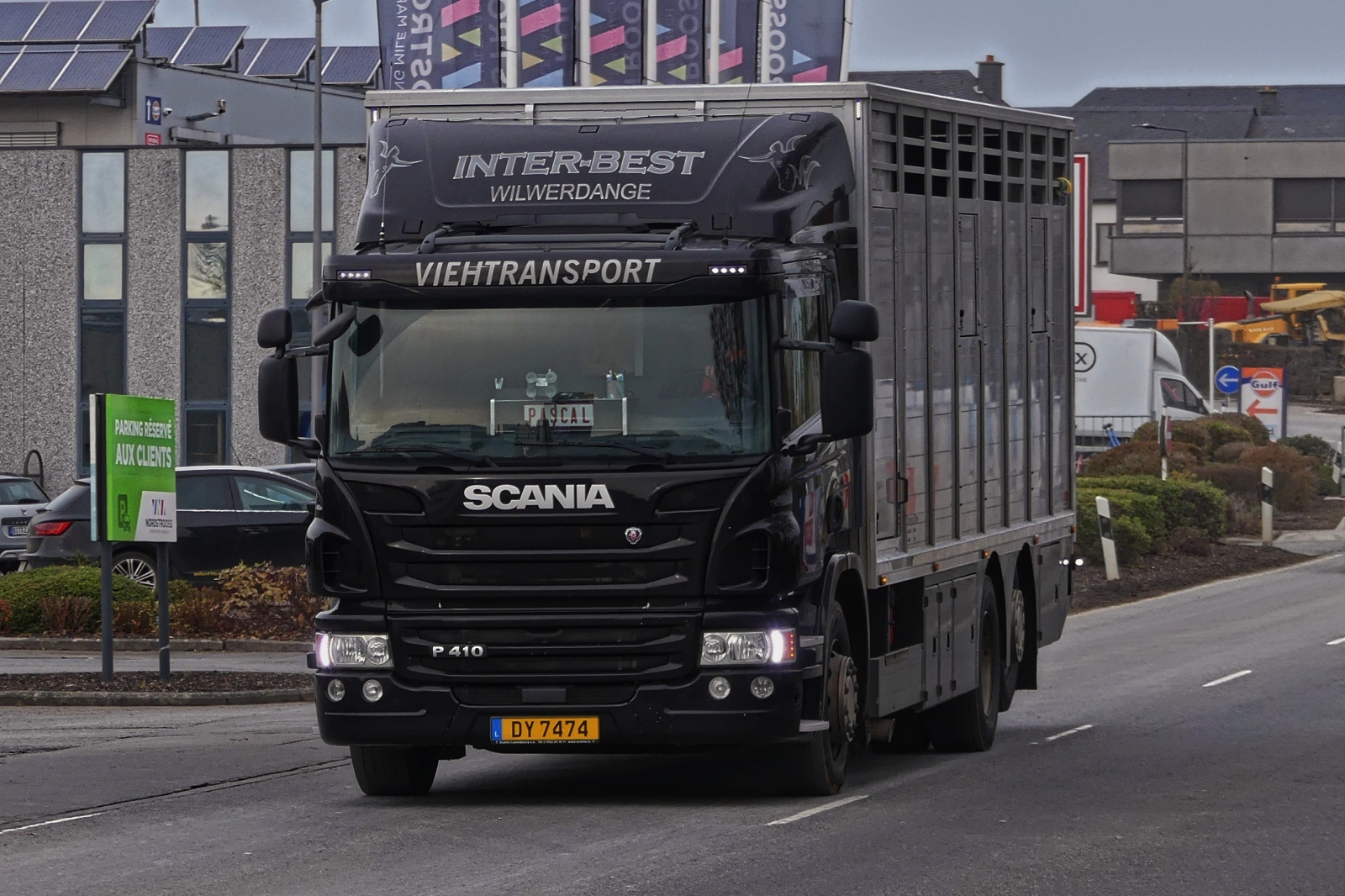 Scania P 410, Viehtransporter, aufgenommen in Marnach. 11.2024