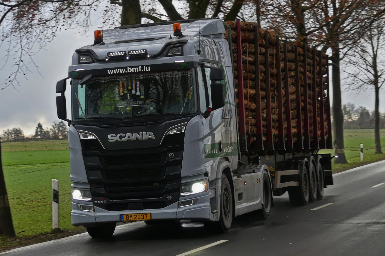 Scania R 580 Sattelzug als Kurzholztransporter unterwegs. 11.2024