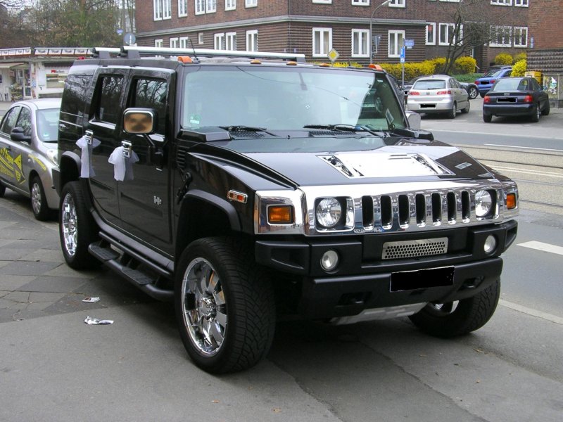 Einfach nur  Hummer .(06.04.2009)