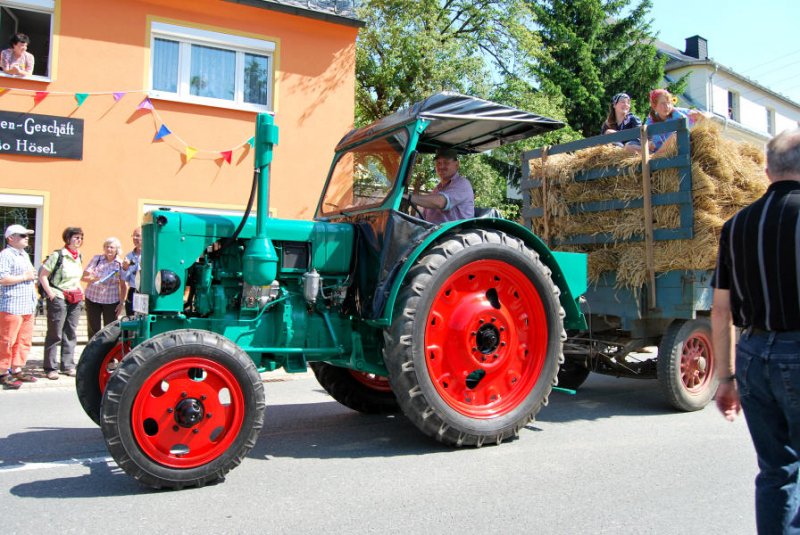 RS04 Lachtaube, Burkhardtsdorf 24.05.09