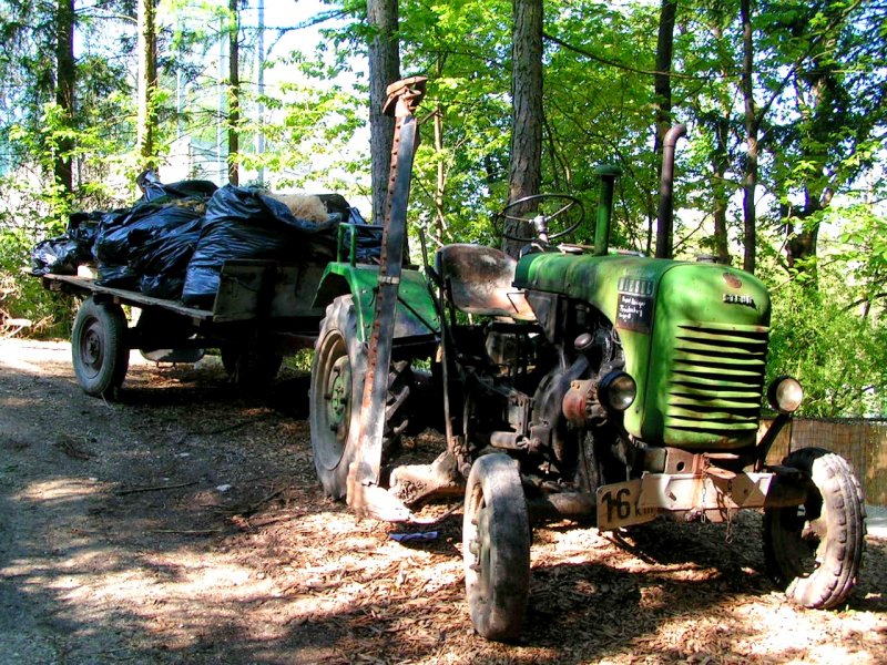 STEYR80 (15er) im Waldweg; 080504