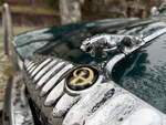 Daimler Emblem auf der Motorhaube eines Daimler Double Six.