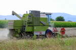 Claas Dominator 68s, bei der Getreideernte in der Rheinebene, Aug.2024