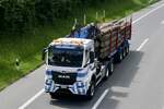 Ein MAN Holztransporter von Egli Transporte am 28.6.24 auf dem Weg zum Trucker Festival auf der A8 in Matten b.