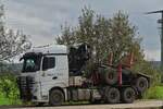 Mercedes Benz Actros, Holztransporter, macht eine Pause auf einem Parkplatz. 10.2024