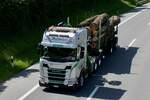 Weiterer Scania Holztransportter von Martin Schaller der am 28.6.24 auf dem Weg zum Trucker Festival ist auf der A8 in Matten b.