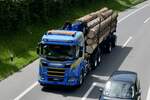 Ein weiterer Scania Holztransporter von Martin Wittwer am 28.6.24 auf dem Weg zum Trucker Festival auf der A8 in Matten b.