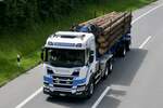 Ein Scania Holzsattelzug von Egli Transporte am 28.6.24 unterwegs zum Trucker Festival auf der A8 in Matten b.