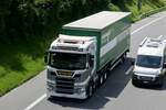 Ein Scania Sattelzug von Afdolter Schüpfen der am 28.6.24 zum Trucker Festival unterwegs ist auf der A8 in Matten b.