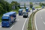 Mehrere Scania Sattelzüge von Rüegsegger die am 28.6.24 unterwegs zum Trucker Festival sind auf der A8 in Matten b. Interlaken.