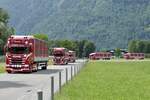 Ein Scania Viehtransporter und weitere LKW von Fässler Transporte am 28.6.24 in Bönigen.