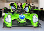 Krohn Racing Nr.40, Ligier JS P2 - Nissan LMP2, bei den Rennvorbereitungen in der, Aufnahme beim Pitwalk der European Le Mans Series am 25.9.2016 in Spa Francorchamp