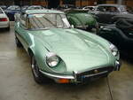 Jaguar E Type Series 3 Coupe aus dem Jahr 1972 im Farbton willow green. Produziert wurde das Modell in den Jahren von 1971 bis 1974. Vorgestellt wurde das Modell auf dem Genfer Salon des Jahres 1961. Wie schon 13 Jahre zuvor, beim Jaguar XK120, stieß auch der E Type in der Fachpresse auf einhellige Begeisterung. Sowohl Cabriolet, als auch das FHC (F ixed H ead C oupe) genannte, geschlossene Coupe-Modell waren sofort der Traumwagen der breiten, automobilen Masse. Der E Type wurde in drei Serien hergestellt. Die Serien 1 und 2 wurden von Sechszylinderreihenmotoren angetrieben. Die seit 1971 produzierte Series 3 war mit einem V12-Motor ausgerüstet, der aus einem Hubraum von 5343 cm³ 275 PS leistet. Classic Remise Düsseldorf am 01.11.2024.