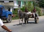 Pferdebetriebene Transportkutsche.
Auf Kuba fehlt es allenthalben an Transportmglichkeiten. 
Kutschen sind daher auf Kuba ein bliches Fortbewegungsmittel.
Pinar del Rio, Kuba.
09-2003