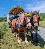 =Planwagengespann unterwegs auf Rügen im Mai 2024