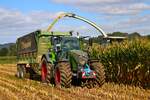 LU Schmidt Ronneburg Fendt Varo 728 am 15.09.24 beim Mais Häckseln in der Nähe von Mittel Gründau