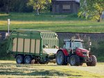 Massey-Ferguson 6616, holt mit dem Krone-Ladewagen Grünschnitt von der Wiese; 160508