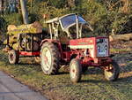 Das aktuell frühlingshafte Wetter wurde für Waldarbeiten genutzt und so stand Mitte Februar 2025 dieser McCormick 423 mit einem mit Holz beladenen Anhänger zur Abfahrt bereit.