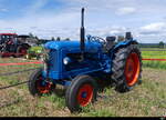 Fordson Mayor Traktor am Traktorentreff in Zauggenried/BE am 2024.07.13