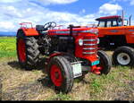 Hürliman D-150 S Traktor am Traktorentreff in Zauggenried/BE am 2024.07.13